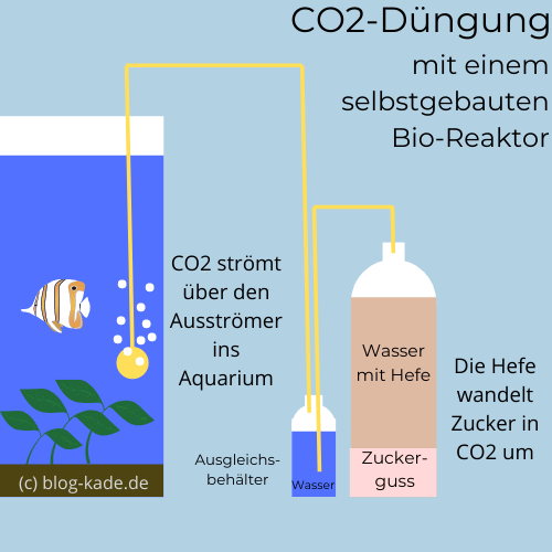 Aquarium Pflanzen düngen ja oder nein? auf blog-kade.de